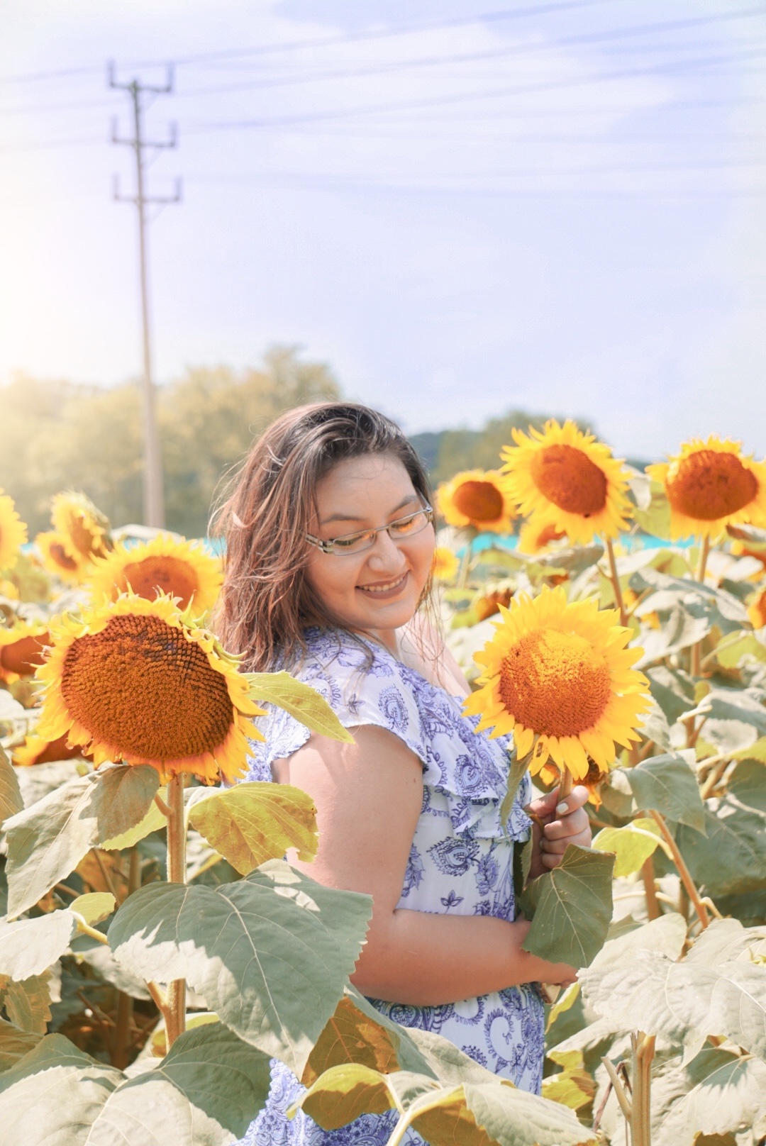 The Best Sunflower Fields Near New York City