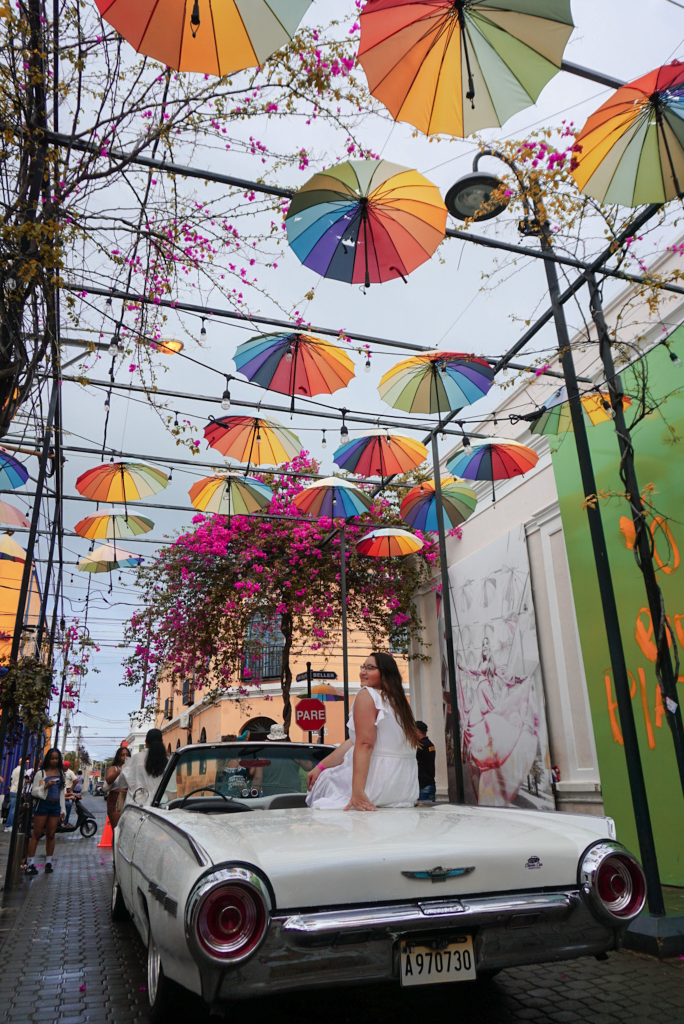 The Perfect Excursion in Puerto Plata